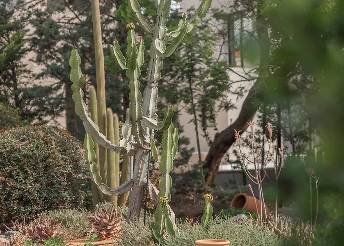 The House Willa Hersonissos (Crete)