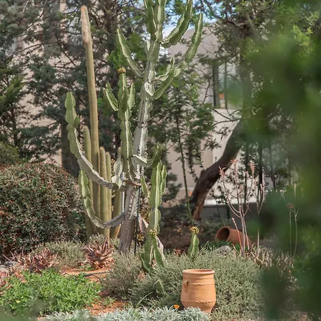 The House Vila Hersonissos (Crete)